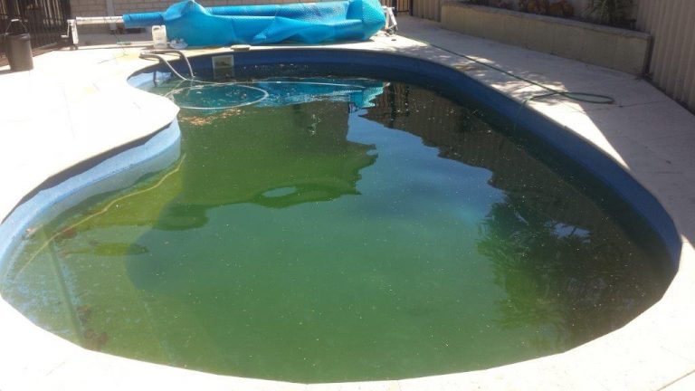 green pool solutions